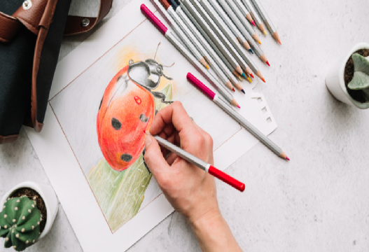 مشروع محل و تطبيق الكترون